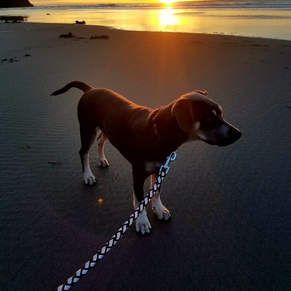 Meet your Posher, Courtney - Picture 2 of 4